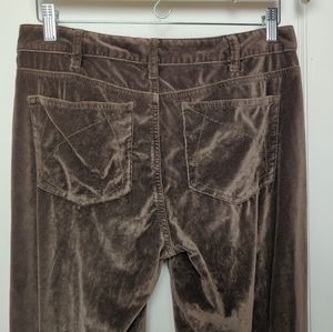 Sundance Velvet 100% cotton straight leg pants 6
